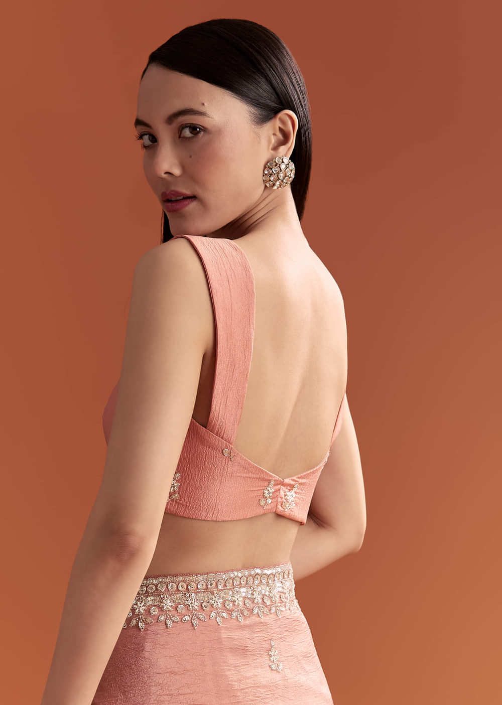 Rust Tissue Saree With Butti And Border Embroidery