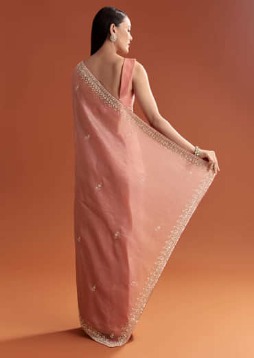 Rust Tissue Saree With Butti And Border Embroidery