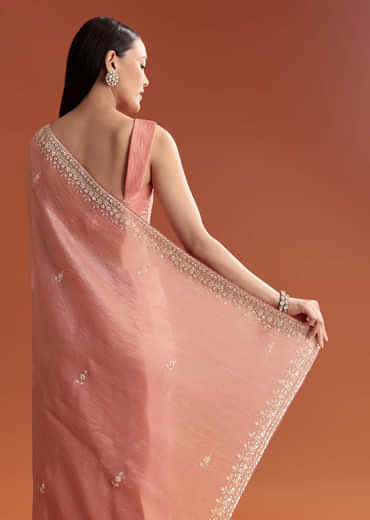 Rust Tissue Saree With Butti And Border Embroidery