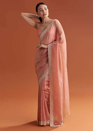 Rust Tissue Saree With Butti And Border Embroidery