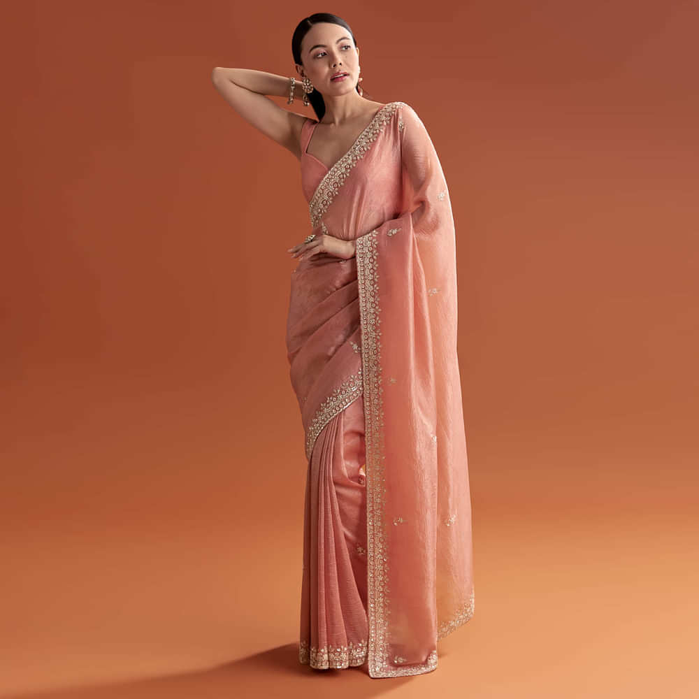 Rust Tissue Saree With Butti And Border Embroidery