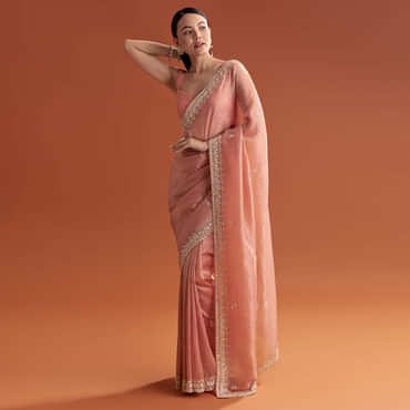 Rust Tissue Saree With Butti And Border Embroidery