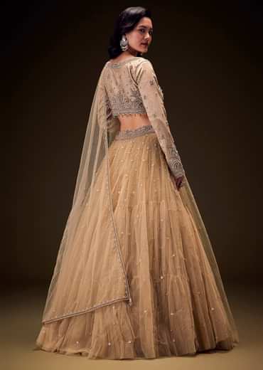 Sand Beige Net Hand Embroidered Pearl Work Lehenga Set