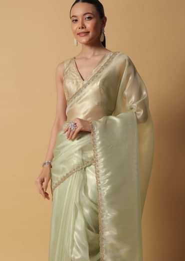 Sea Green Foil Saree In Tissue With Cut Dana Embroidered Borders