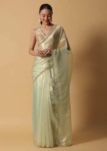Sea Green Foil Saree In Tissue With Cut Dana Embroidered Borders
