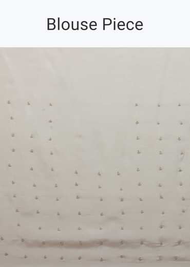 White Floral Printed Saree In Organza With Cut Dana Embroidery