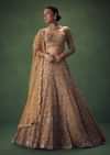 Champagne Gold Hand Embroidered Sequin Work Lehenga Set