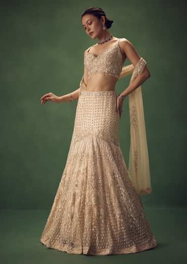 Blush Pink Fish Cut Sequin Lehenga Set