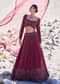 Red Organza Embroidered 12 Kali Lehenga And Blouse With Dupatta