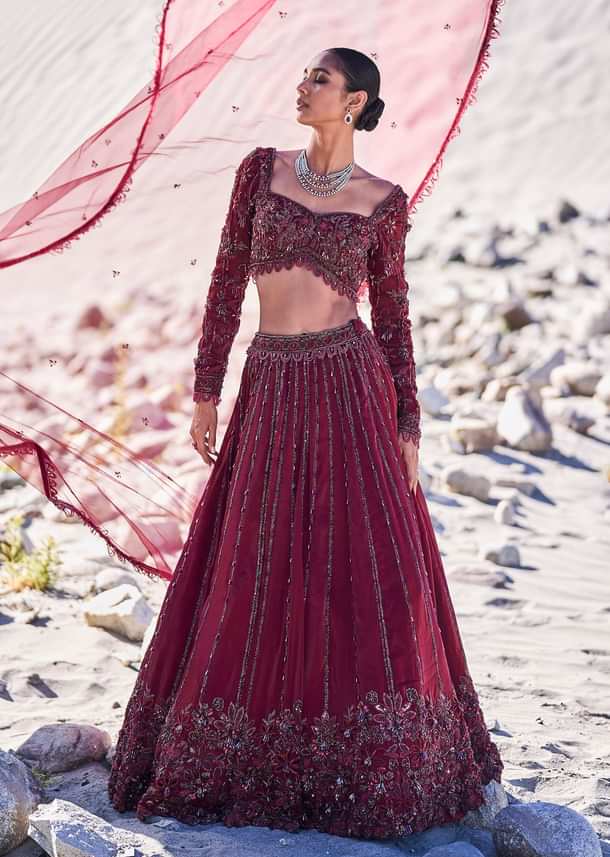 Red Organza Embroidered 12 Kali Lehenga And Blouse With Dupatta