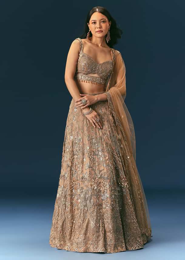 Bronze Organza Lehenga Set With Hand Work