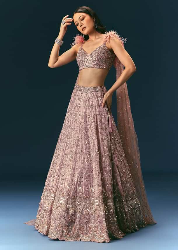 Onion Organza Lehenga And Blouse Set With Choker Dupatta