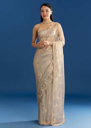 Silver Organza Tissue Saree With Sparkling Border