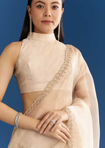 Beige Organza Tissue Saree With Delicate Embellished Edge