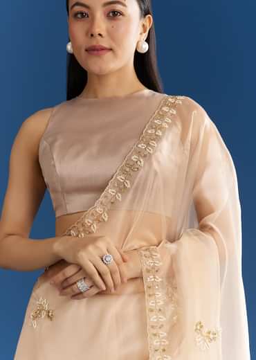 Beige Organza Tissue Saree With Cutdana Detailing