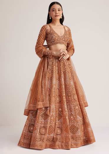 Brown Embellished Lehenga Set With Detailed Embroidery