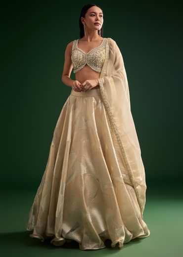 Gold Ivory Sequin Stone Work Choli Lehenga