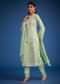 Pista Green Organza Embroidered Straight Kurta Set