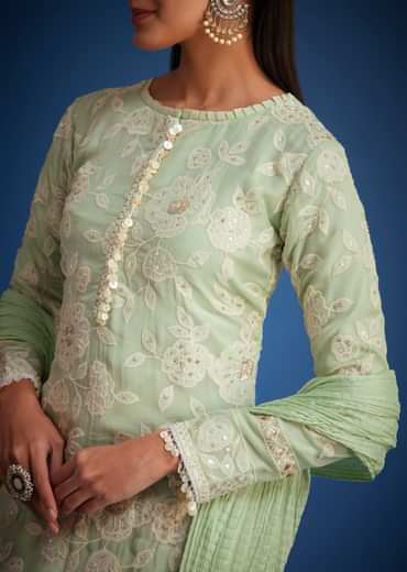 Pista Green Organza Embroidered Straight Kurta Set