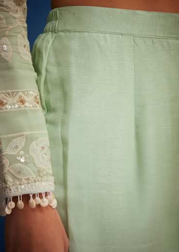 Pista Green Organza Embroidered Straight Kurta Set