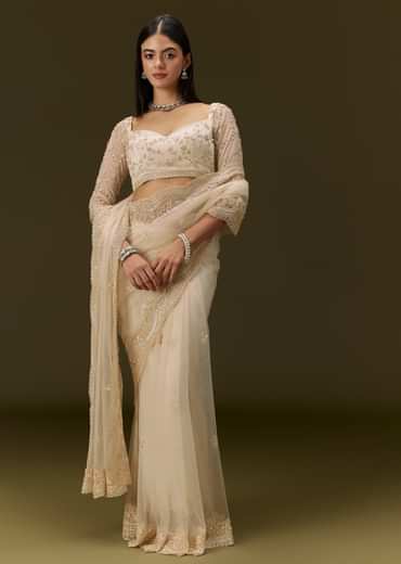 Beige Net Saree With Heavy All Over Embroidery