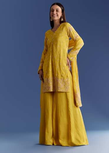 Ivory Silk Kurta Set With appliqua Organza Dupatta