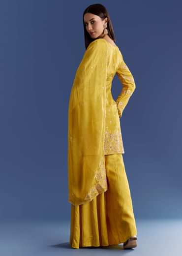 Ivory Silk Kurta Set With appliqua Organza Dupatta