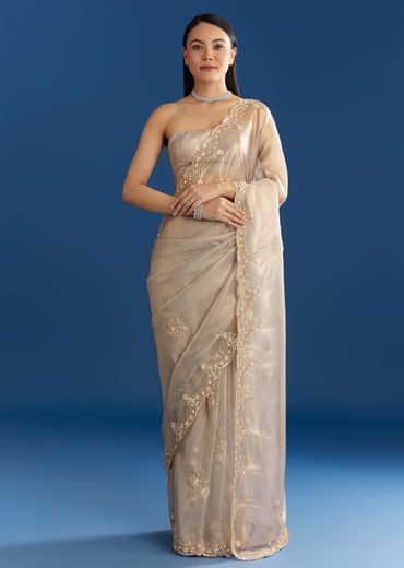 Silver Organza Tissue Saree With Sparkling Border