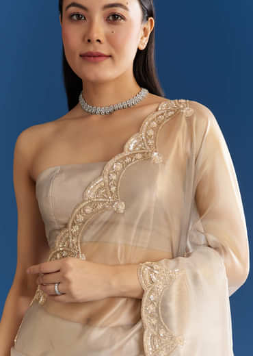 Silver Organza Tissue Saree With Sparkling Border