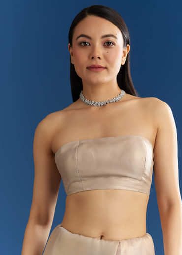 Silver Organza Tissue Saree With Sparkling Border