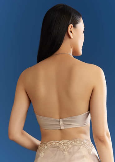 Silver Organza Tissue Saree With Sparkling Border