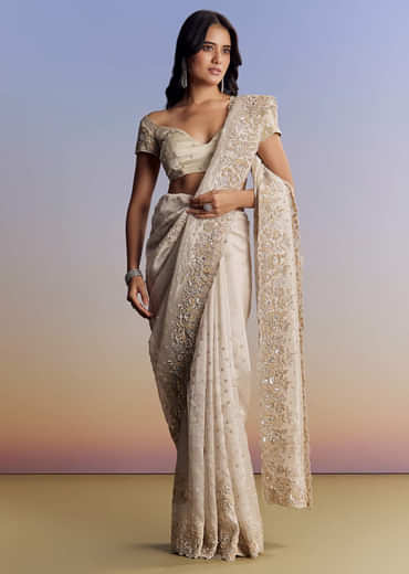 Silver Tissue Saree With Floral Cut Dana Embroidery