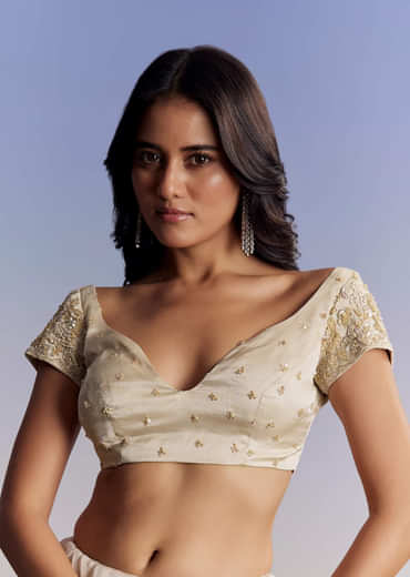 Silver Tissue Saree With Floral Cut Dana Embroidery