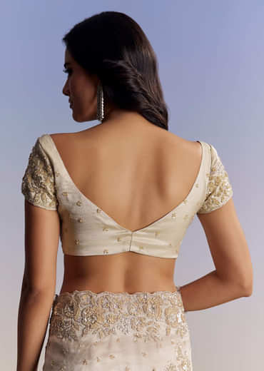 Silver Tissue Saree With Floral Cut Dana Embroidery