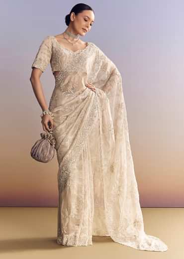 Silver Tissue Saree With Heavily Embroidered Border Work