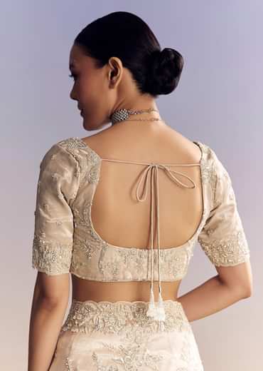 Silver Tissue Saree With Heavily Embroidered Border Work