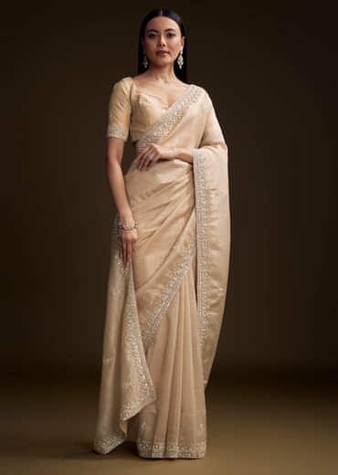 Silver Tissue Saree With Sequin And Stone Embroidery