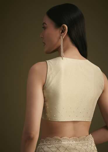 Silver Beige Tissue Sequins Saree With Cutdana Detailing