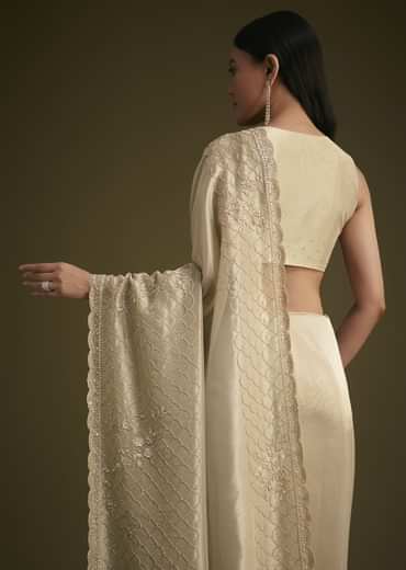 Silver Beige Tissue Sequins Saree With Cutdana Detailing