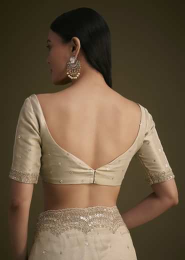 Silver Tissue Saree With Embroidered Border