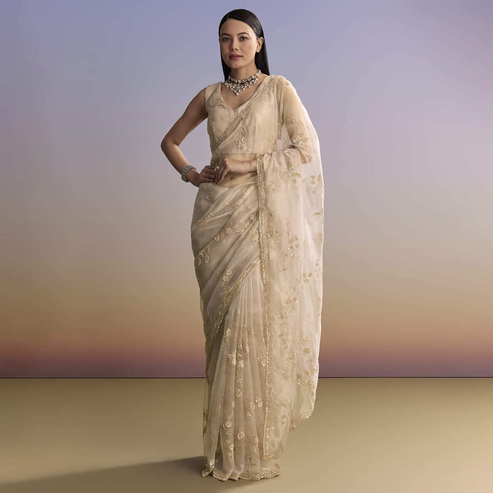 Silver Tissue Saree With Scallop Border And Sequins Work