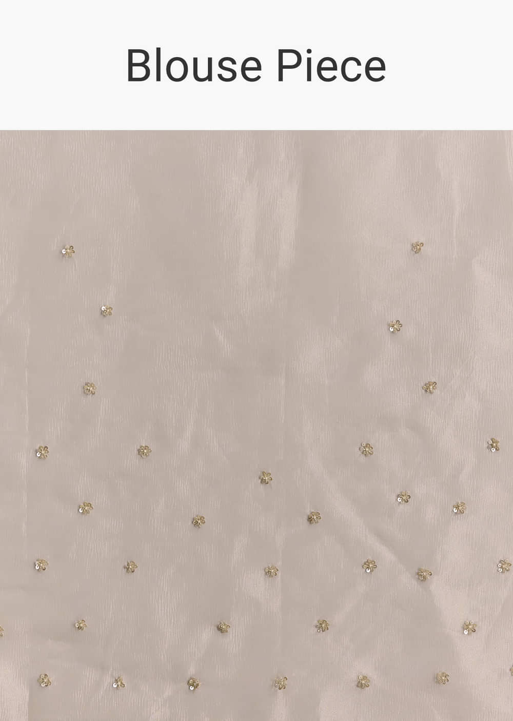 Silver Tissue Saree With Scallop Border And Sequins Work