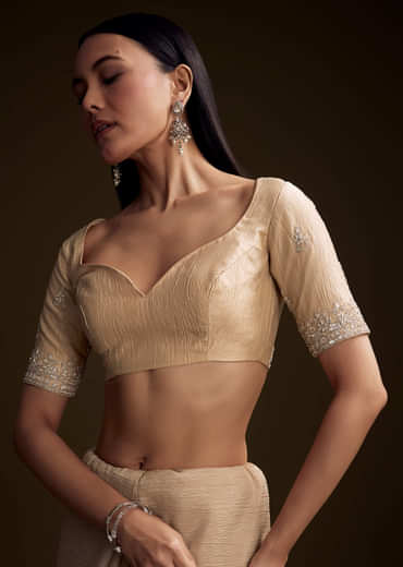 Silver Tissue Saree With Sequin And Stone Embroidery