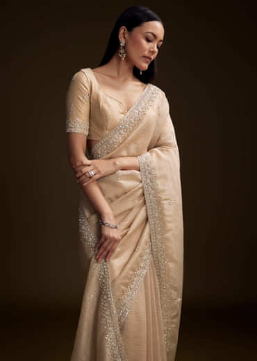 Silver Tissue Saree With Sequin And Stone Embroidery
