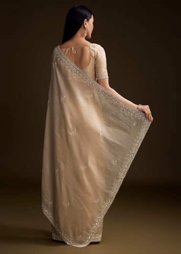 Silver Tissue Saree With Sequin And Stone Embroidery