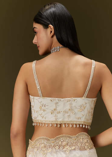 White Net Heavy Embroidered Saree With Embellished Border