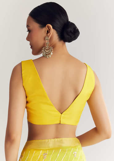 Yellow Rama Saree With Leheriya Print And Floral Gotapatti Embroidery